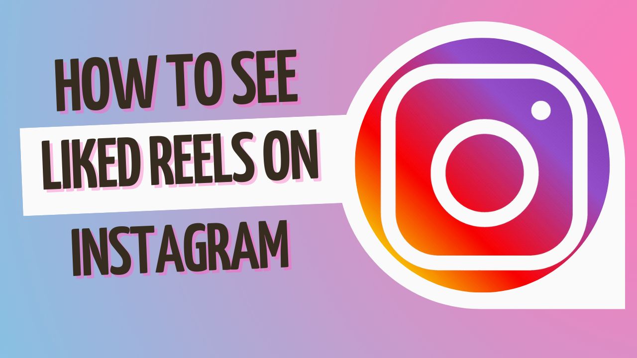 How to See Liked Reels on Instagram in 2024 [Step-By-Step Guide]